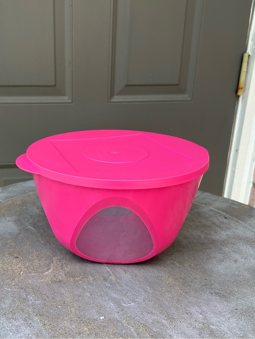 Tupperware Outdoor Dining Bowl 10 ½” Cups